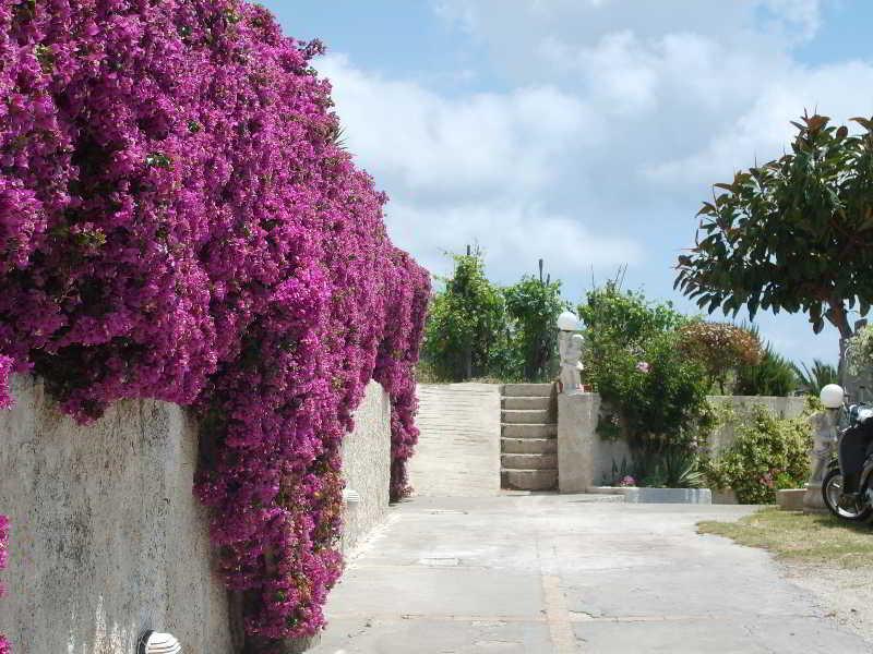 Villa Natalina Forio di Ischia 외부 사진